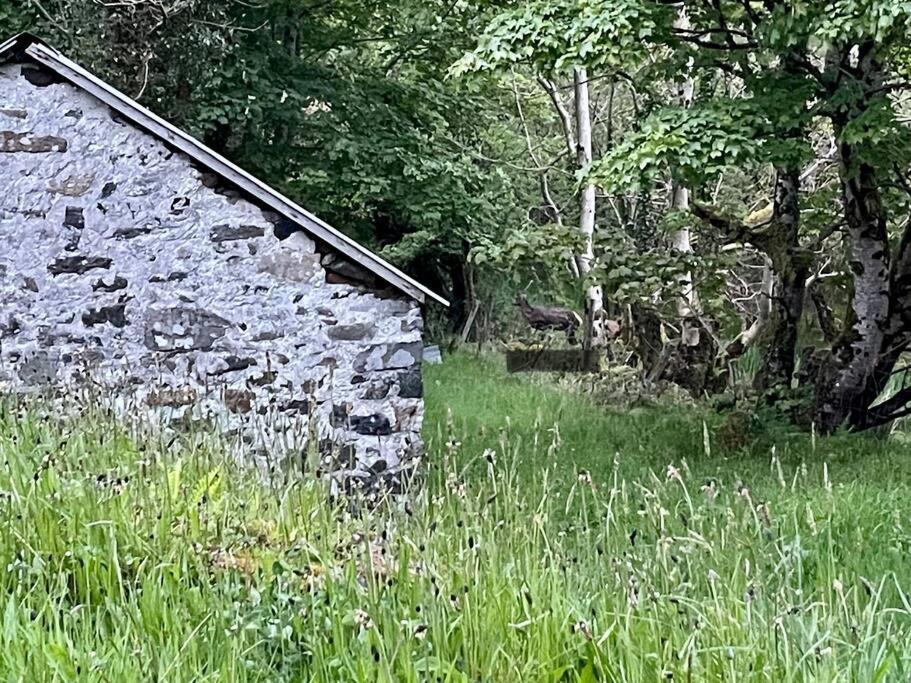 John The Mills Cottage Spahot Tub Private Beach Donegal Town Ngoại thất bức ảnh